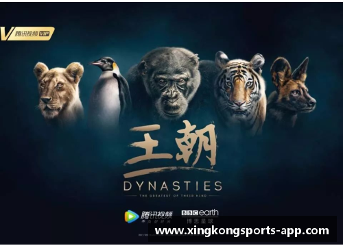 震撼！皇家马德里全纪录片，揭秘白衣王朝传奇往事
